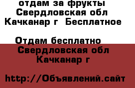 отдам за фрукты - Свердловская обл., Качканар г. Бесплатное » Отдам бесплатно   . Свердловская обл.,Качканар г.